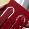 fatcarbon glass pulse red